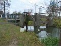 Strzelce Opolskie: Ktoś zatruł rzekę - padły setki ryb
